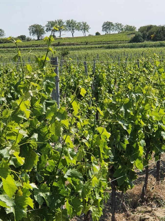 La Grange Cazouls-d Herault Exterior foto